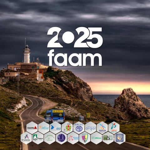 BALANCE DE GESTIÓN FAAM 2025