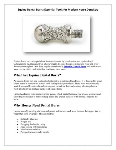 Equine Dental Burrs- Essential Tools for Modern Horse Dentistry
